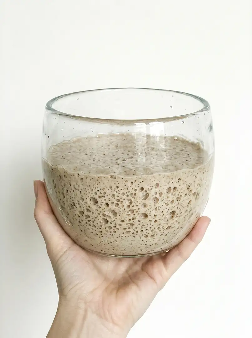 Levain - Fermentaço natural artesanal